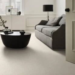 Philadelphia Caress Ombre Whisper Carpet In Awaken -Home Decoration Series 3827112 3