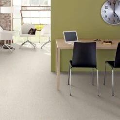 Philadelphia Caress Ombre Whisper Carpet In Awaken -Home Decoration Series 3827112 5