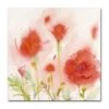 Timberlake Red Poppy Memory Canvas Art -Home Decoration Series 39532932 1