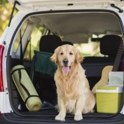 Timberlake Petmaker Cargo Liner Pet Cover For SUV -Home Decoration Series 52177995 3