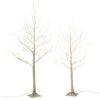 The Gerson Company Everlasting Glow 4' Electric Birch Tree With LED Lights -Home Decoration Series 55441786 1