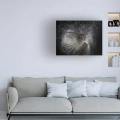 Timberlake Ronen Rosenblatt 'Hair With Dust' 24" X 32" Canvas Art -Home Decoration Series 57650715 4