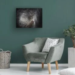 Timberlake Ronen Rosenblatt 'Hair With Dust' 24" X 32" Canvas Art -Home Decoration Series 57650715 5