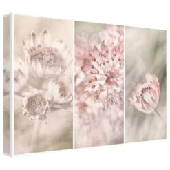 Timberlake Gustav Davidsson 'Pink Floral Panels' 22" X 32" Canvas Art -Home Decoration Series 57651051 3