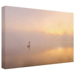 Timberlake Katarzyna Gritzmann 'Misty Morning' 22" X 32" Canvas Art 8 Timberlake Katarzyna Gritzmann 'Misty Morning' 22" X 32" Canvas Art -Home Decoration Series 57654154 2