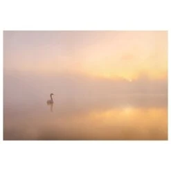 Timberlake Katarzyna Gritzmann 'Misty Morning' 22" X 32" Canvas Art 9 Timberlake Katarzyna Gritzmann 'Misty Morning' 22" X 32" Canvas Art -Home Decoration Series 57654154 3