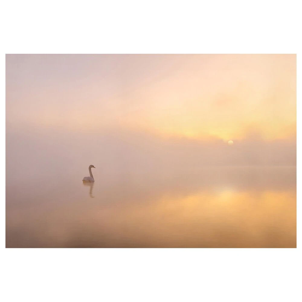 Timberlake Katarzyna Gritzmann 'Misty Morning' 22" X 32" Canvas Art 5 Timberlake Katarzyna Gritzmann 'Misty Morning' 22" X 32" Canvas Art - Image 3