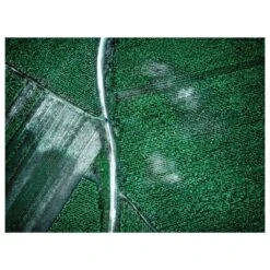 Timberlake Zhou Chengzhou 'Pure Green' 24" X 32" Canvas Art -Home Decoration Series 57654535 3