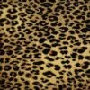 Kane Kaplani Carpet In Agile Cheetah -Home Decoration Series 5911880 1