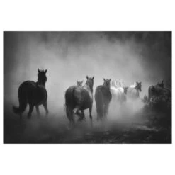 Timberlake No.25 12" X 19" Canvas Art In Gray/Black -Home Decoration Series 59535955 3