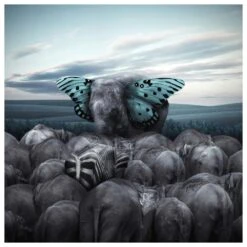 Timberlake Hail To The King 14" X 14" Canvas Art In Grey/White/Black -Home Decoration Series 59541177 3