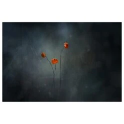 Timberlake Little Mushrooms 12" X 19" Canvas Art In Black/Grey -Home Decoration Series 59541953 3