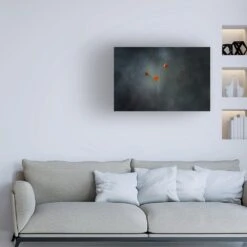 Timberlake Little Mushrooms 12" X 19" Canvas Art In Black/Grey -Home Decoration Series 59541953 4