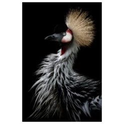 Timberlake Eiji Itoyama 'Crowned Cranes Portrait' 19" X 12" Canvas Art In Black/Grey/Tan -Home Decoration Series 59544130 3