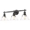 Golden Lighting Orwell 3-Light Bath Vanity With Clear Glass In Matte Black -Home Decoration Series 59660985 1