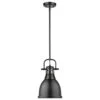Golden Lighting Duncan Small Pendant With Rod In Matte Black -Home Decoration Series 59662833 1