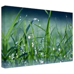 Timberlake Beata Czyzowska 'Morning Dew' 12" X 19" Canvas Art In Turquoise/Blue/Green/Black