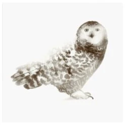 Lumaprints Owl 20" X 20" Wall Art In Multicolor -Home Decoration Series 60086519 3