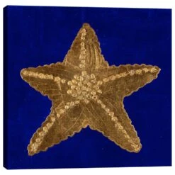 Lumaprints Golden Sand Dollar Canvas Giclee 20" X 20" Wall Art In Multicolor