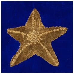 Lumaprints Golden Sand Dollar Canvas Giclee 20" X 20" Wall Art In Multicolor -Home Decoration Series 60088036 3