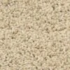 Masland Shangri La Too Carpet In Exotic Realm -Home Decoration Series 6110722 1