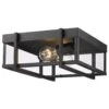 Golden Lighting Tribeca Outdoor Flush Mount In Natural Black With Clear Glass -Home Decoration Series 61227625 1