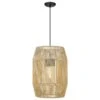 Golden Lighting Seabrooke 1-Light Outdoor Pendant In Natural Black -Home Decoration Series 61227633 1