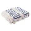 Safavieh Theanna 50" X 60" Throw In Ivory And Blue