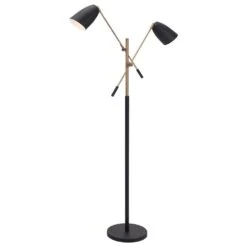 Zuo Modern Tanner Floor Lamp In Matte Black And Brass -Home Decoration Series 61369674 3