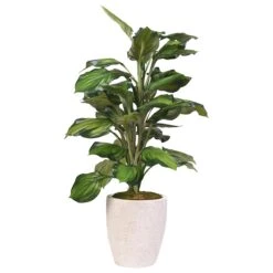 DandW Silks 42" Hosta Planters In White