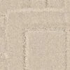 Anderson Tuftex Path Carpet In Dry Creek -Home Decoration Series 6217840 1