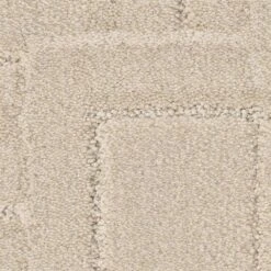 Anderson Tuftex Path Carpet In Dry Creek