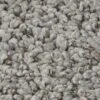 Anderson Tuftex Fan Favorite Carpet In Rain Cloud -Home Decoration Series 6217998 1