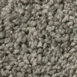 Anderson Tuftex Fan Favorite Carpet In Sabre Grey