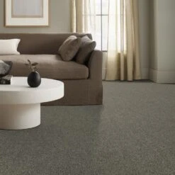 Anderson Tuftex Fan Favorite Carpet In Sabre Grey -Home Decoration Series 6218020 5