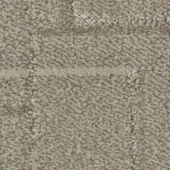 Anderson Tuftex Path Carpet In Muslin