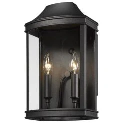 Golden Lighting Cohen Patio Medium Wall Sconce In Natural Black