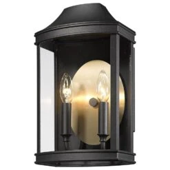 Golden Lighting Cohen Patio Medium Wall Sconce In Natural Black And Champagne Bronze
