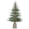 The Gerson Company 4' Potted Frosted Pine With 70 White Lights In Green