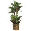 Nearly Natural, Inc. Nearly Natural Inc 45" Maranta Silk Plant In Green -Home Decoration Series 63015978 1