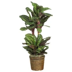 Nearly Natural, Inc. Nearly Natural Inc 45" Maranta Silk Plant In Green