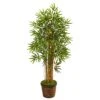 Nearly Natural, Inc. Nearly Natural Inc 4.5' Bamboo Tree With Coiled Rope Planter In Green 1 Nearly Natural, Inc. Nearly Natural Inc 4.5' Bamboo Tree With Coiled Rope Planter In Green -Home Decoration Series 63016786 1
