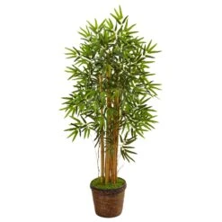 Nearly Natural, Inc. Nearly Natural Inc 4.5' Bamboo Tree With Coiled Rope Planter In Green