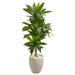 Nearly Natural, Inc. Nearly Natural Inc 4' Dracaena With Sand Colored Planter In Green