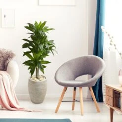 Nearly Natural, Inc. Nearly Natural Inc 4' Dracaena With Sand Colored Planter In Green -Home Decoration Series 63018196 7