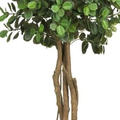 Nearly Natural, Inc. Nearly Natural Inc 5.5' Eucalyptus Double Ball Topiary Silk Tree In Green -Home Decoration Series 63020622 3