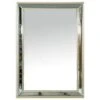 Garber Collection Wall Mirror In Champagne -Home Decoration Series 63486385 1