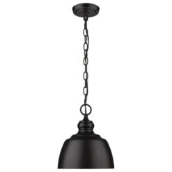 Golden Lighting Holmes 1-Light Mini Pendant In Matte Black