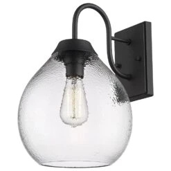 Golden Lighting Ariella 1-Light Outdoor Wall Sconce In Natural Black