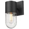 Golden Lighting Ezra 1-Light Outdoor Wall Sconce In Natural Black -Home Decoration Series 63643191 1